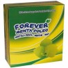 INFUSION FOREVER MENTA-POLEO 100 UN