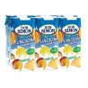 BRIO D.SIMON TROPICAL BK. 20 CL PK-6