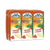 BRIO D.SIMON SANDIA-MELON BK. 20 CL PK-6