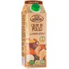 CALDO DON SIMON POLLO CON VERDURAS BRIK 1 L