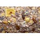 CEREALES PROMOLAC MUESLI 5 FRUTAS 1 KG