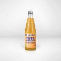 KOMBUCHA VIVER CURCUMA-JENGIBRE BOTELLA 330ML