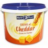 QUESO CREMA CHEDDAR RENY PICOT CUBO 2KG