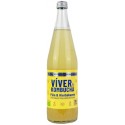 KOMBUCHA VIVER PIÑA-HIERBABUENA BOTELLA 700 ML
