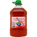 LICOR LUSITANIA ENDRINAS 3L
